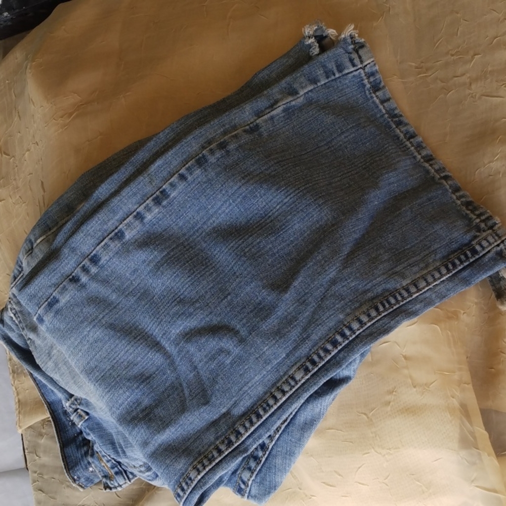 Denizen Levi's - image 4